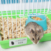 レプタイルズプレートM