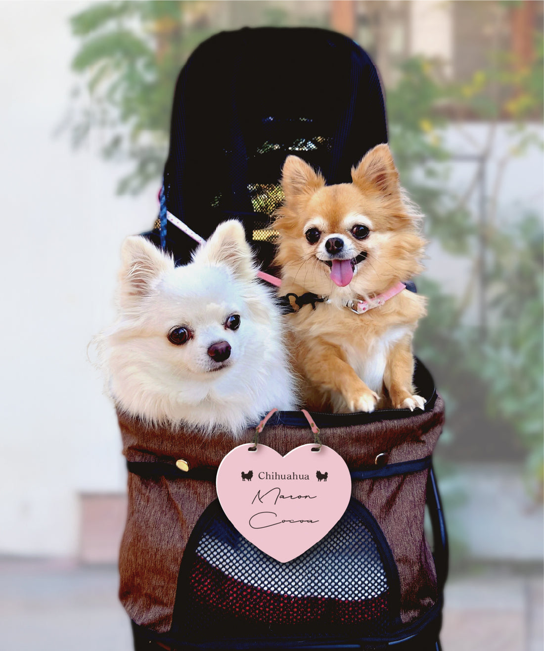 カートプレート ハート型（34種）