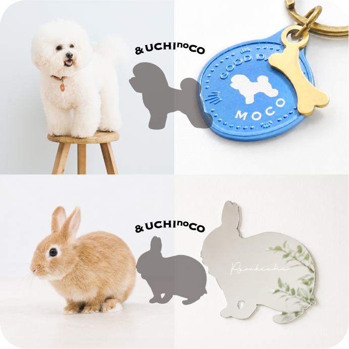 選んでつくる！世界にひとつの”うちの子グッズ” & UCHInoCO Online Store