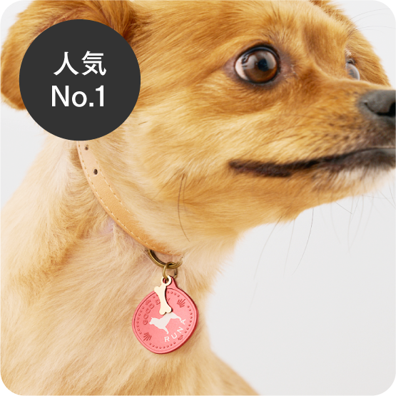 選んでつくる！世界にひとつの”うちの子グッズ” & UCHInoCO Online Store