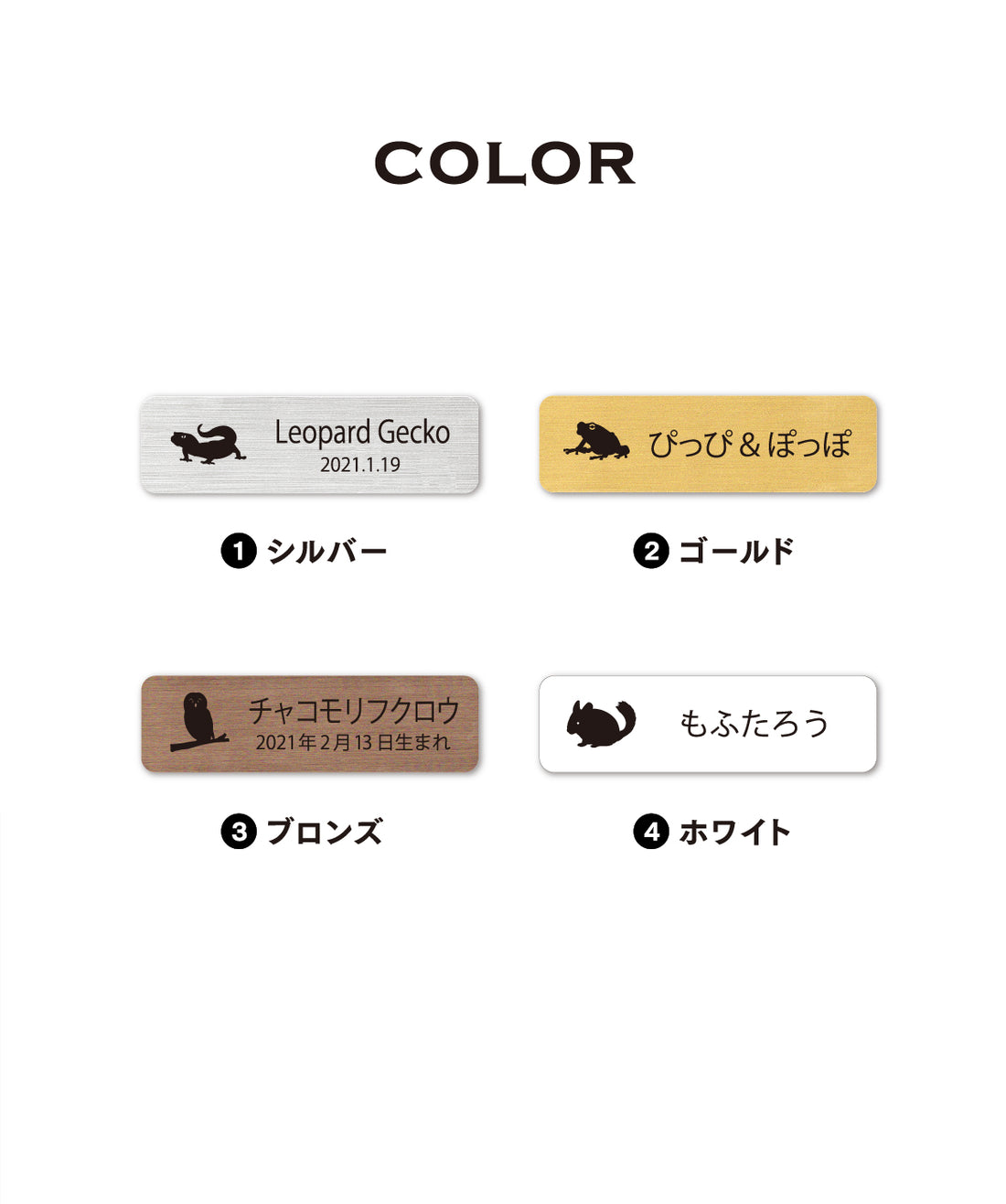 レプタイルズプレートS