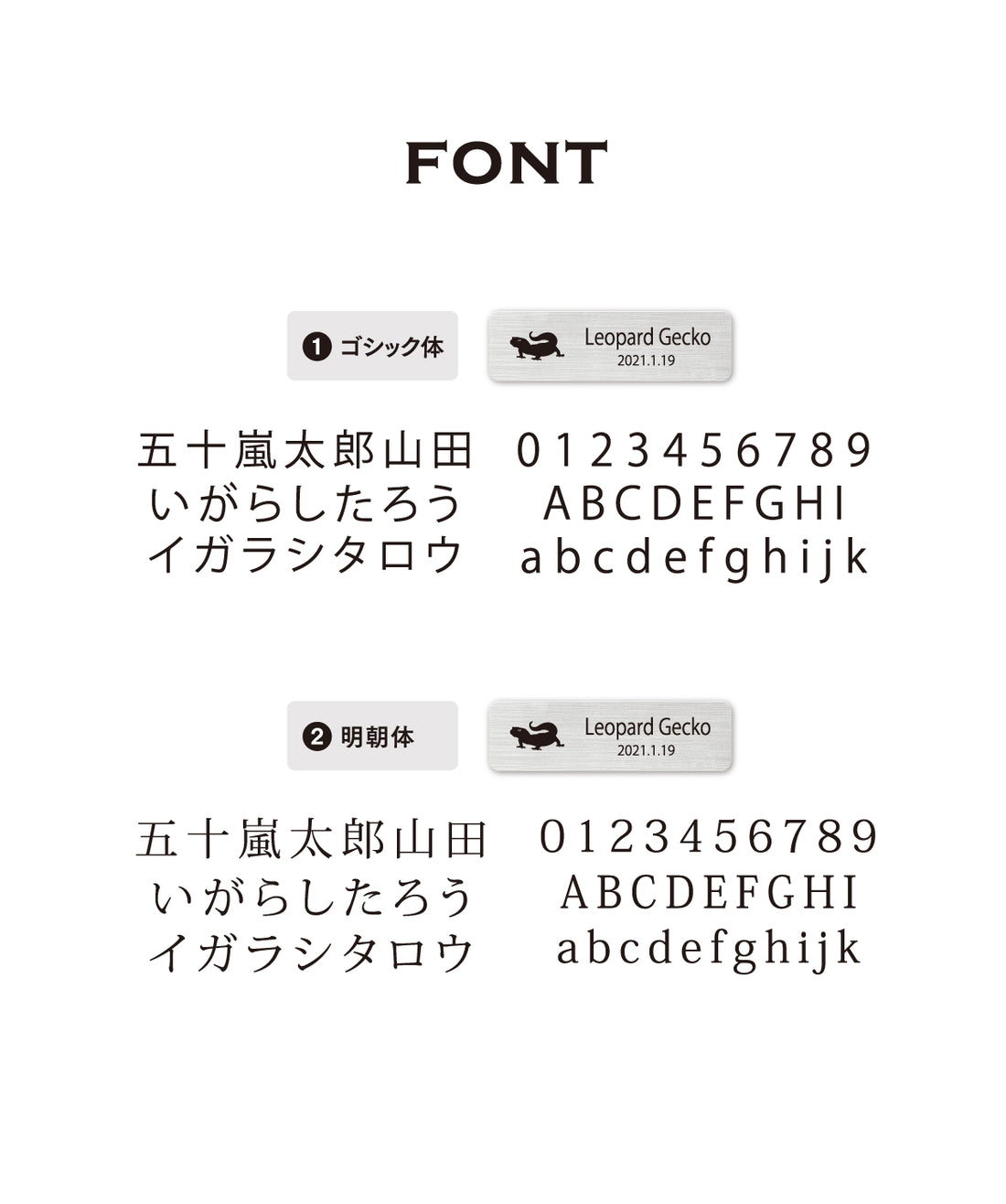 レプタイルズプレートS