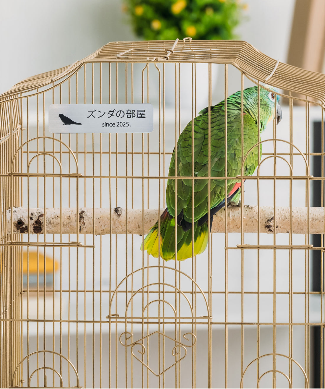 レプタイルズプレートL