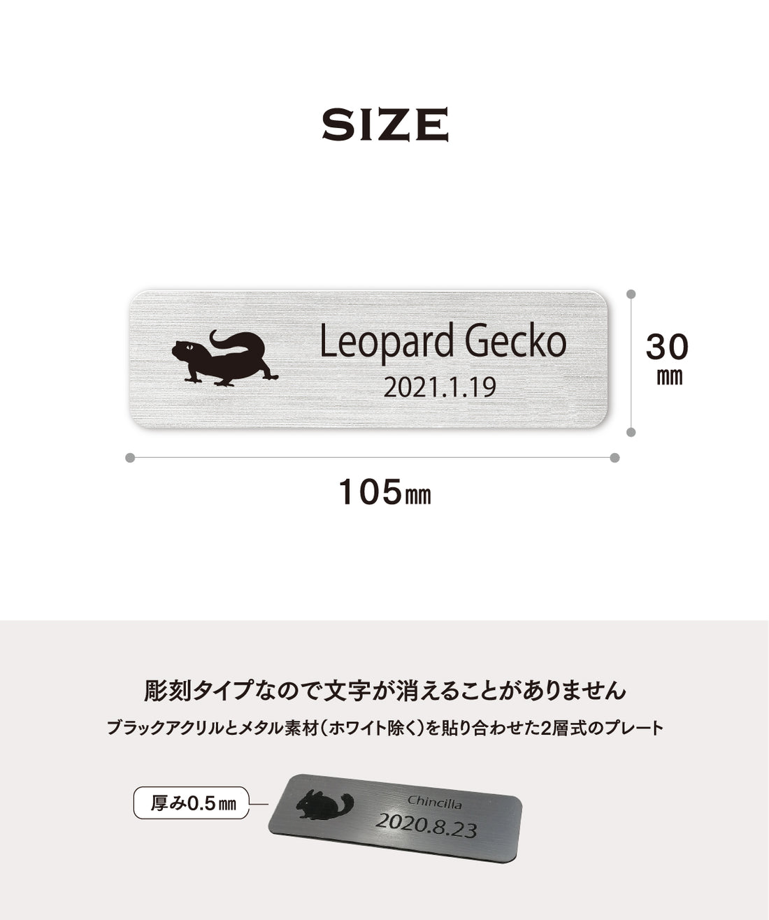 レプタイルズプレートL