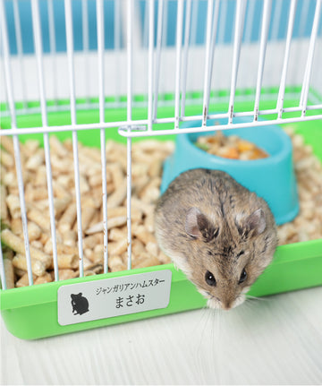 レプタイルズプレートM