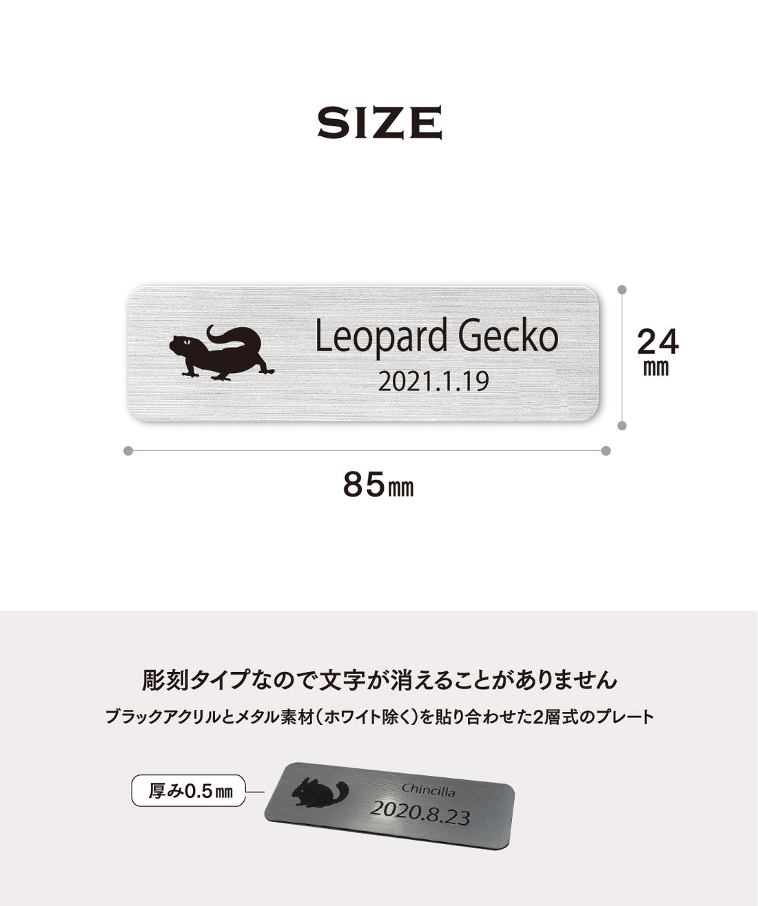 レプタイルズプレートM