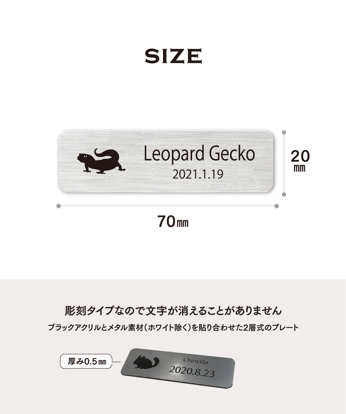 レプタイルズプレートS